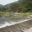 늘솔길민박 이미지