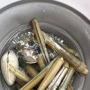 변산반도 고사포 야영장 가족 캠핑 후기