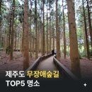 [제주도] 제주시 여기 어때🎶 이미지