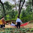 선혜유치원 이미지