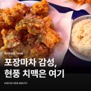 닭동가리 현풍점 | 테크노폴리스 치킨 맛집 여기서 종결났어요 닭동가리 현풍점 솔직 후기
