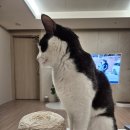 기초 코바늘 손뜨개 | [왕왕초보 코바늘 뜨개질] 네트 파우치, 티코스터 도전기 | 청송뜨개실 후기, 코바늘 유투브 추천