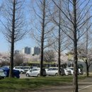 화랑유원지2주차장 입구 이미지