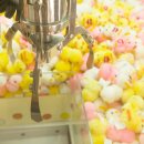 인형뽑기좋은날 이미지