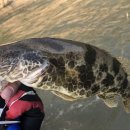 강에가펜션 이미지