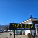 가보오토종닭 이미지