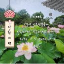 궁남로7 이미지