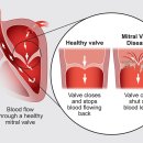 어울동물의료센터 이미지