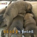 민지 농장 이미지