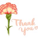 DIY 컬러테라피 천연화장품 이미지