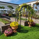 골든메디컬케어센터 이미지