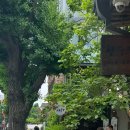 갤러리101식당 이미지