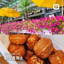 서해안주유소 | 서해안고속도로 화성휴게소 하행 갓구운 호두과자와 푸드코트