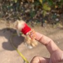 광주다온동물병원 이미지