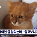 행복한오타쿠
