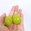 명품과일 | 현대백화점 과일선물세트, THE 명품 혼합과일 가격 및 후기(사과, 배, 샤인머스캣, 천혜향, 한라봉)