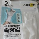 동아식품 | 2026 서울 마라톤(동아마라톤) 참가 후기