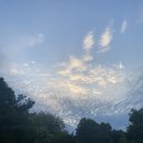 옛통이모 이미지