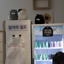 대구 동성로 분식 &#39;곱빼기 식당&#39; 후기