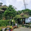 사계의들녘 이미지