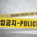 채선플라워