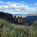 블루마운틴 이미지