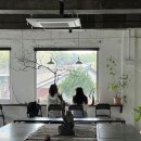 행궁동 행리단길 놀거리 봄 나들이 추천드릴게요! (셀프사진관, 향수공방, 화성행궁, 감성카페)