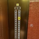 프로포즈 호텔] 잠실 '롯데호텔 월드' / 디럭스 더블...호텔 월드 클럽라운지 해피아워 조식 내돈내산 후기