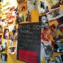 강아지세상 고양이세상 이미지