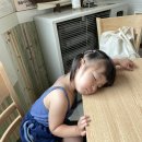 조광목장 | [아이랑 강원도 속초 여행 3일차 양양 맛집, 롯데리조트 (워터파크 이용 팁, 속초 맛집 포함 )]