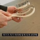 김숙헤어 - 창원시 성산구 | 김숙헤어