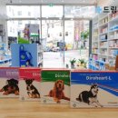 드림i약국 이미지