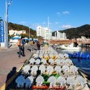 대변항2 이미지