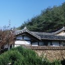 탁청정종택