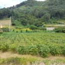 정배공인중개사사무소 이미지