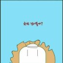 용인대미르태권도 이미지
