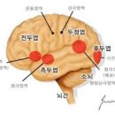 기체조(단전호흡) 이미지