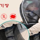 청풍방역
