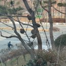 하우스맘마