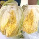 평창밤나무골농원