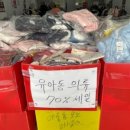 버커루대전 이미지