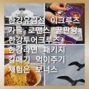노들유치원 | [한강유람선 이크루즈]가을 로맨스 끝판왕 한강투어크루즈+한강라면패키지 갈매기 먹이주기 체험은 보너스