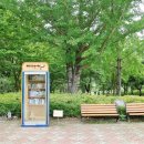 하천섬(주차장) 이미지