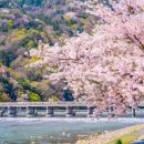 봄디자인 이미지