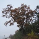 벌말2로 이미지