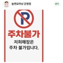 놀면묘하냥 고양이카페 | 은평구 데이트코스 고양이카페 놀면묘하냥 솔직한 후기 😻