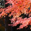 금강공원 이미지