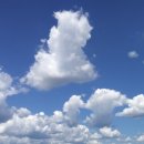 호서대학교부속유치원 이미지