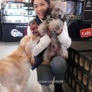 장자호수공원(반려견놀이터) 이미지