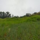 상주 병풍산 고분군 이미지